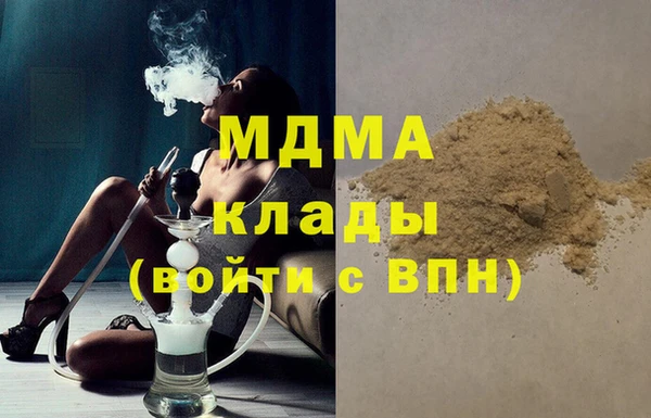PSILOCYBIN Алзамай