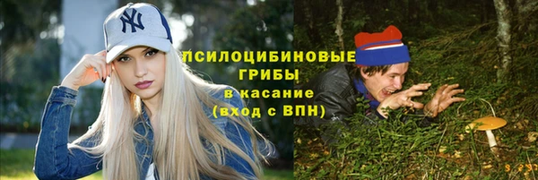 PSILOCYBIN Алзамай