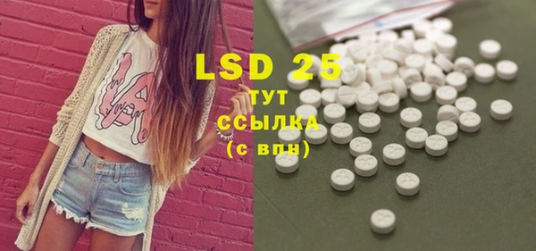 PSILOCYBIN Алзамай