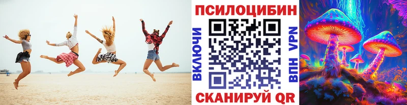 Псилоцибиновые грибы прущие грибы  Бежецк 